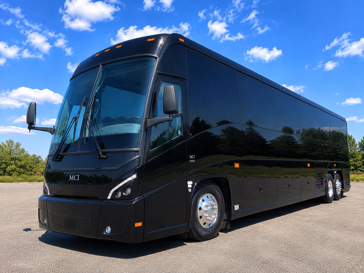 plan a science field trip to cattail marsh or tyrrell park with easy group transportation