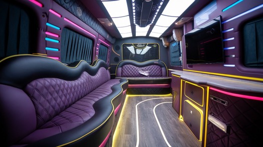 beaumont sprinter limo rental interior