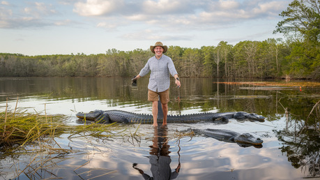 gator country